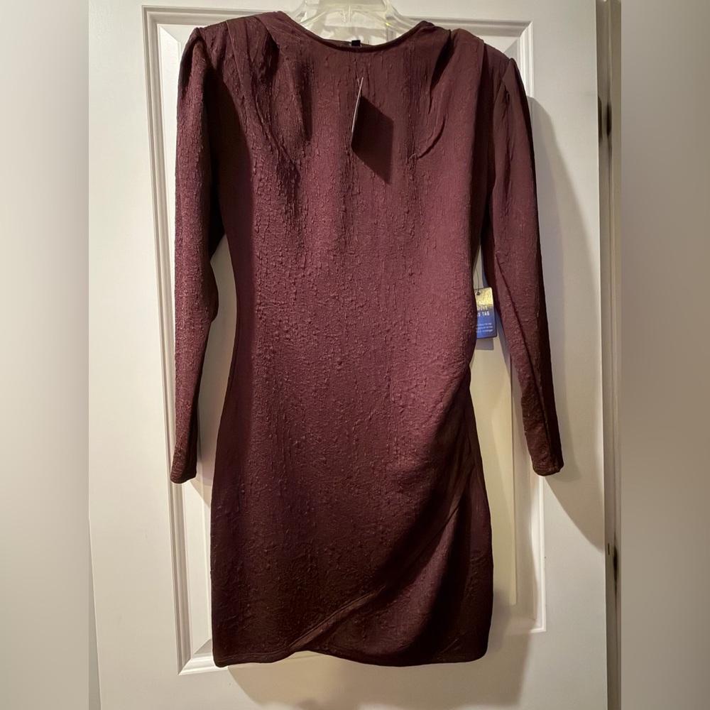 Express Deep Burgundy Long Sleeve Dress